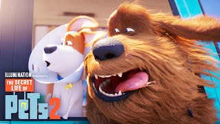The Secret Life of Pets 2  Max and Duke Go on a Road Trip