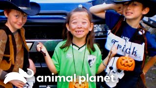 A Young Girl Is Infected With Rabies  Monsters Inside Me  Animal Planet