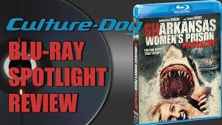 BluRay Review Sharkansas Womens Prison Massacre 2015 Scream Factory