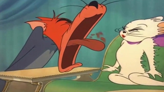 Tom and Jerry  Episode 1  Casanova Cat 1951