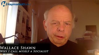 Why I Call Myself a Socialist by Wallace Shawn