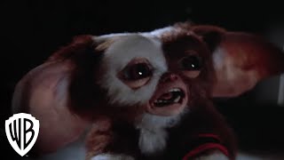 Gremlins 2 The New Batch  Gremlins Multiply  Warner Bros Entertainment